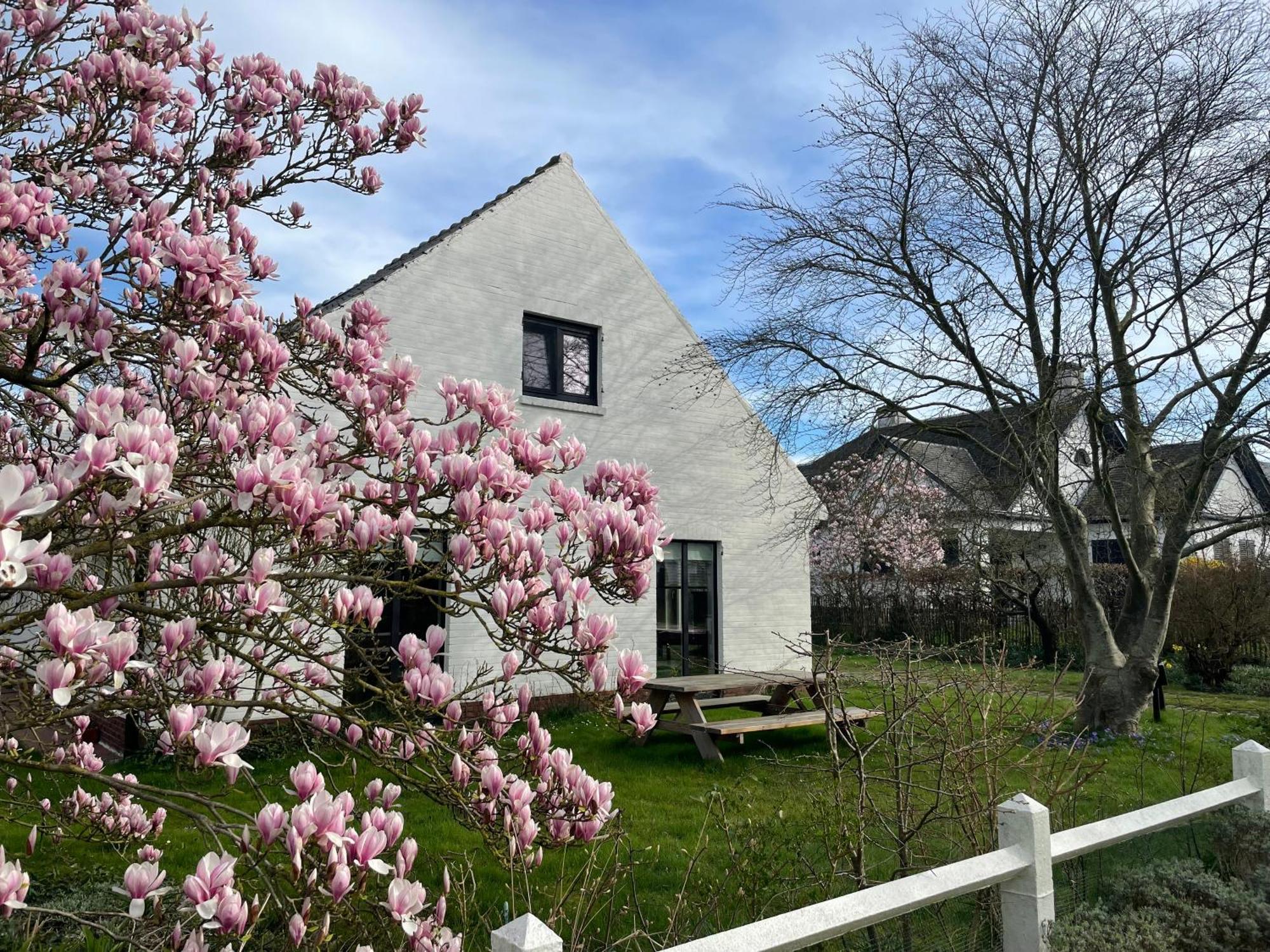 Villa Jacaranda De Haan Exterior photo